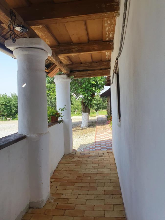 Pensiunea Aurelia Siria Exterior photo
