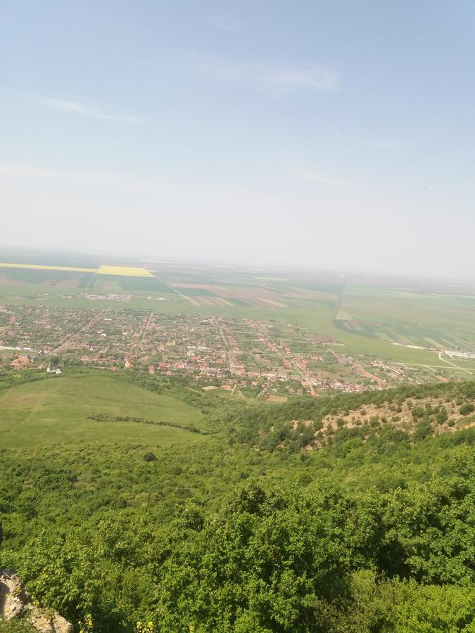 Pensiunea Aurelia Siria Exterior photo
